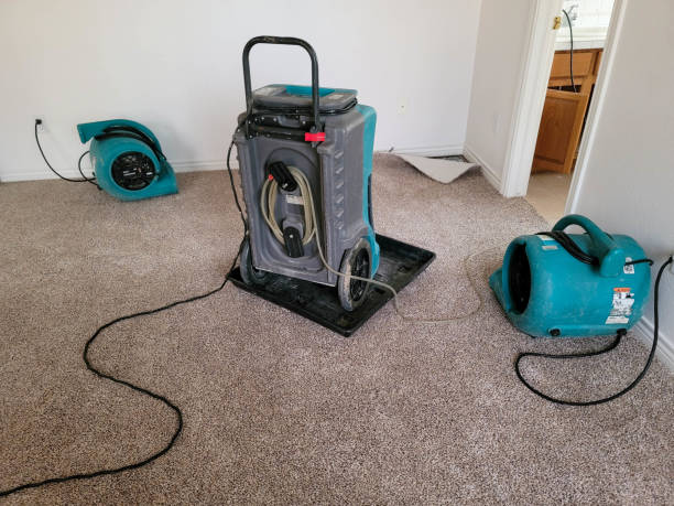 Best Water damage mitigation services  in Huntington Beach, CA