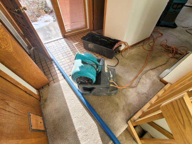 Best Ceiling water damage repair  in Huntington Beach, CA