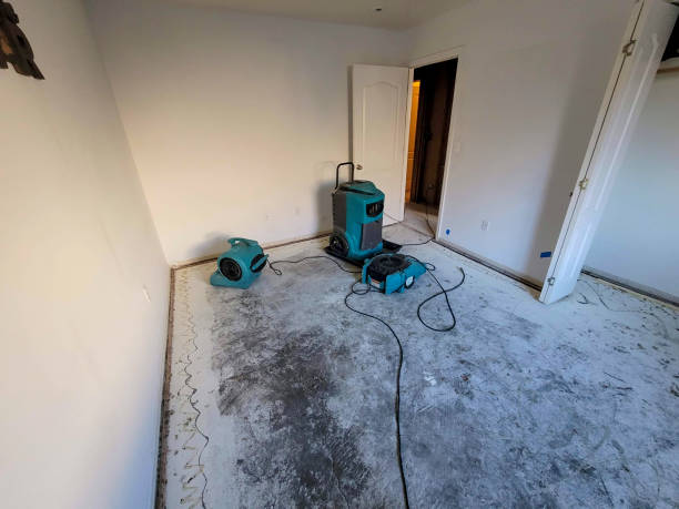 Best Water damage restoration mold remediation  in Huntington Beach, CA