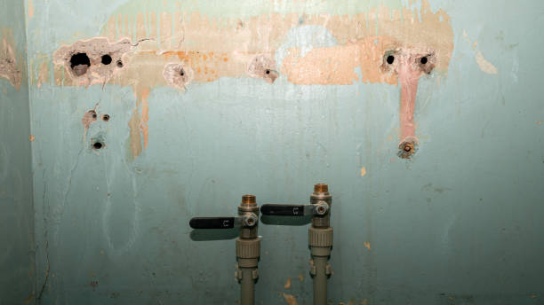 Best Water damage cleanup near me  in Huntington Beach, CA