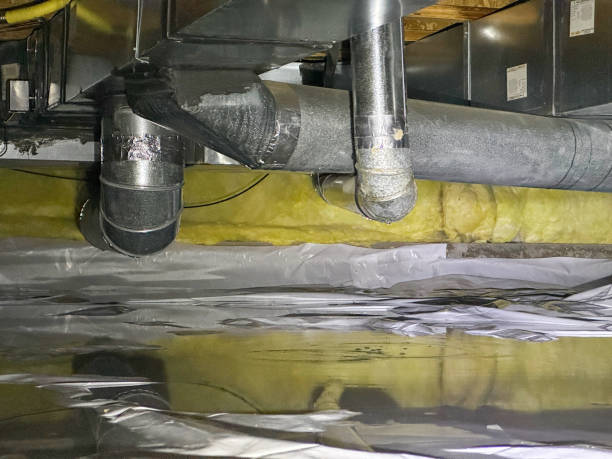 Best Professional water damage repair  in Huntington Beach, CA