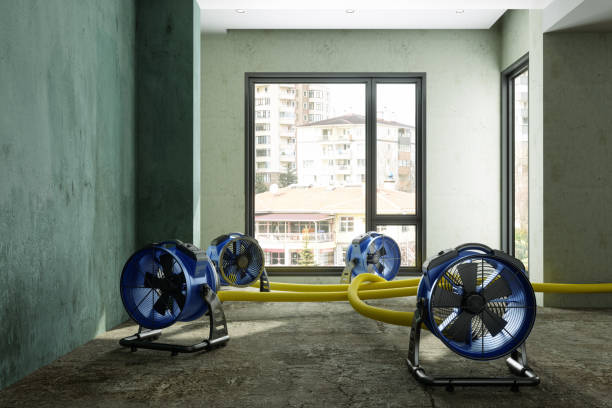  Huntington Beach, CA Water damage restoration Pros