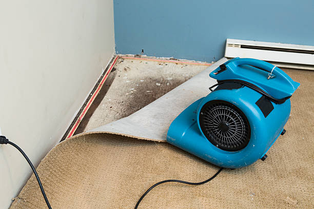 Best Emergency water damage restoration  in Huntington Beach, CA